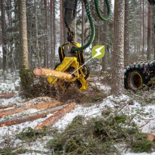 Leimikkoseuranta kertoo puunkorjuutoiminnan kannattavuuden