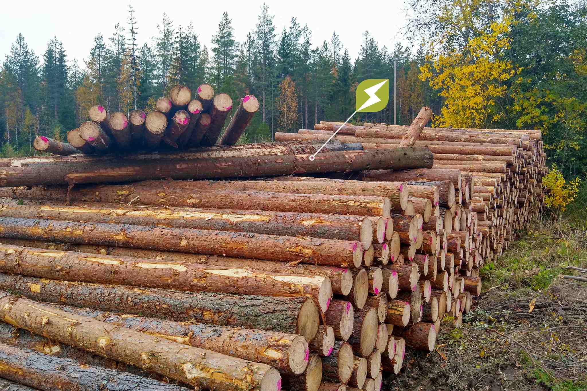 Puunkorjuun maksuliikenne hoidetaan mittaustodistuksen tietojen perusteella